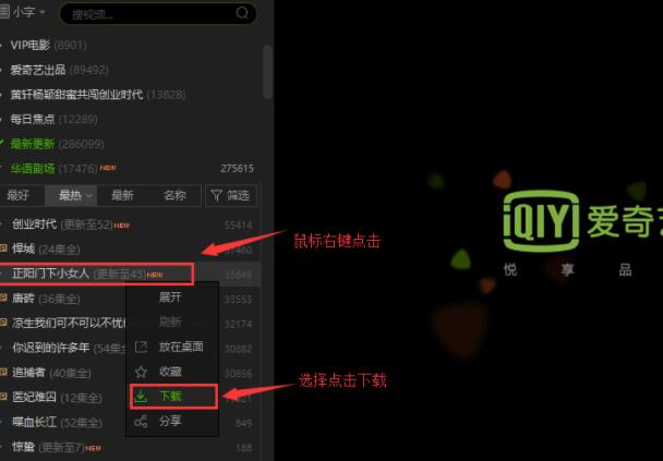 爱奇艺vip永久破解版下载(暂未上线)截图2