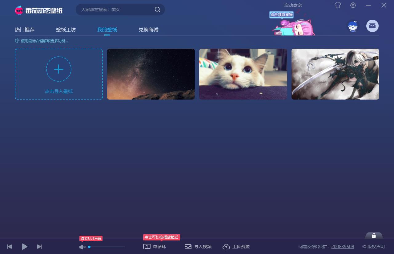 番茄动态壁纸电脑版截图2