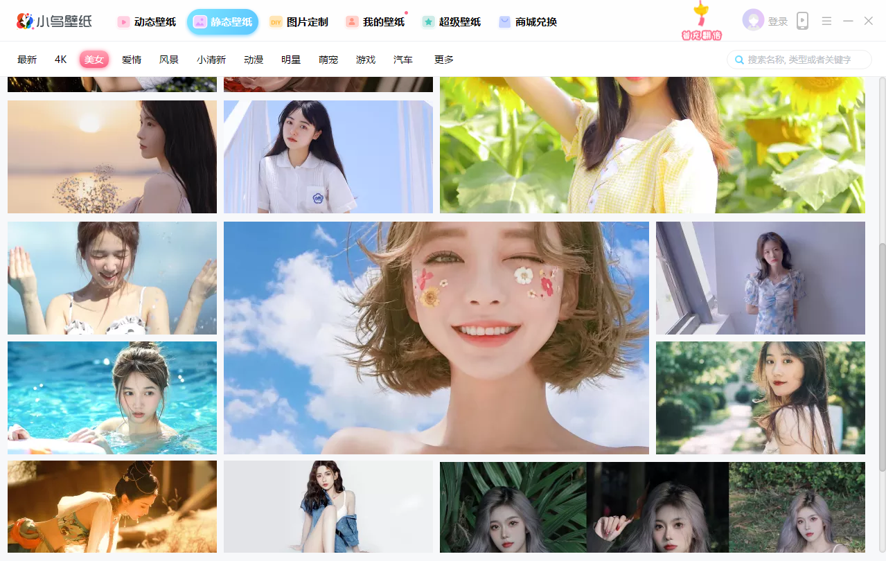 小鸟壁纸电脑版下载截图1