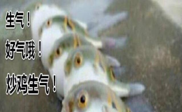 theshy来全杀了什么意思