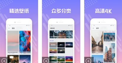禾琴壁纸