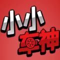 小小车神完整版